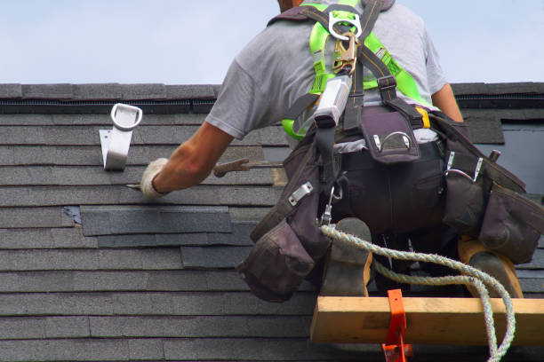Professional Roofing Contractor in Albion, NE