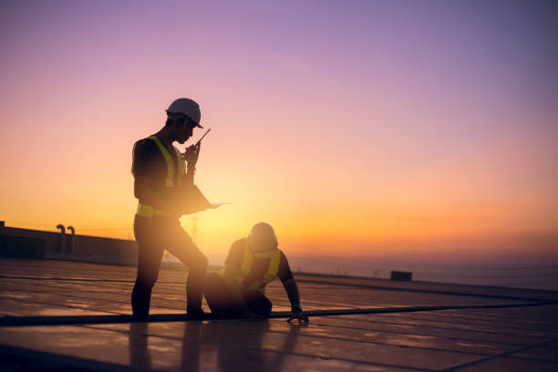 Best Roof Gutter Cleaning  in Albion, NE